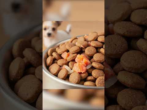 7 Amazing Benefits of Salmon &amp; Rice Dog Food in 2025 (US Market)