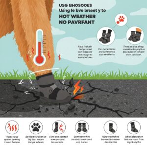  Infographic illustrating the benefits of using dog shoes for hot weather and pavement.