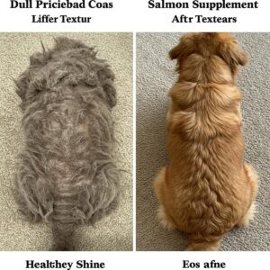 Visual comparison illustrating the difference between a dull coat and a healthy coat after using the salmon supplement.
