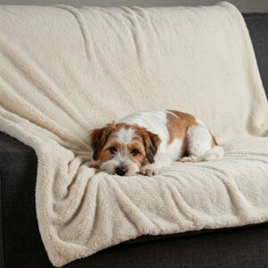 Cute dog lounging on a fluffy dog blanket draped over a dark grey couch.