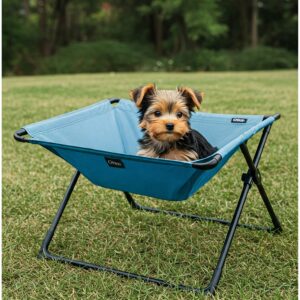 Yorkshire Terrier puppy sitting on a portable blue dog hammock in a grassy outdoor area. 