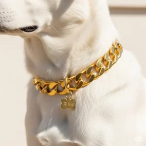 A Cuban link dog collar with an attached ID tag, demonstrating how it can be accessorized for pet safety and identification.