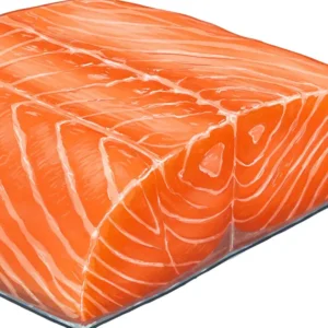 Close-up illustration of fresh salmon, a key ingredient in our salmon and rice dog food formula.