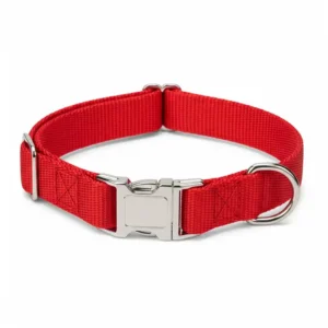A vibrant red dog collar with a silver buckle, perfect for daily walks and training sessions.