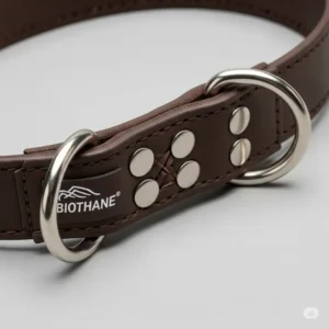 High-quality, rust-resistant hardware on a Biothane dog collar, emphasizing its long-lasting durability