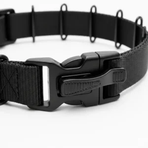A close-up of a dog wearing a prong pinch collar, clearly showing an attached ID tag, reminding owners of the importance of identification even with specialized training collars for dogs.