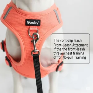 Close-up of a Gooby dog harness demonstrating the front-clip leash attachment for no-pull training.