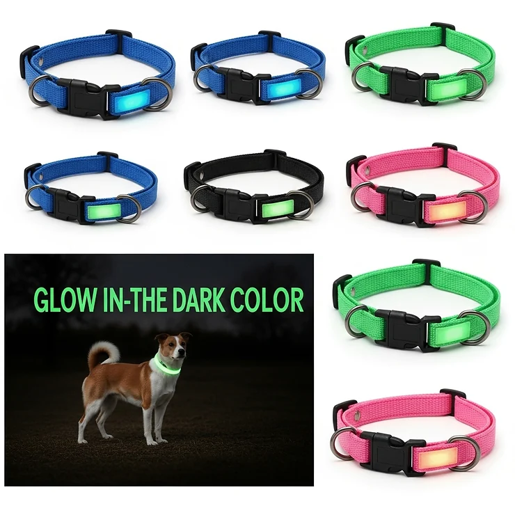 A collection of different colored glow in the dark dog collars, showcasing available options like blue, green, and pink, all providing excellent nighttime visibility.